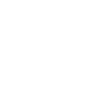 Fast Delivery