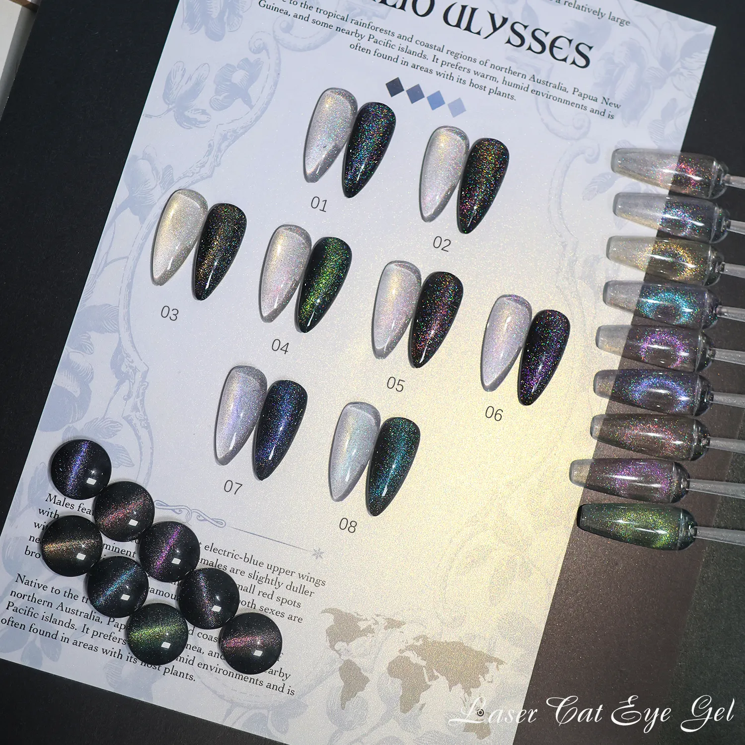Custom Laser Cat Eye Gel Manufacturer (5)